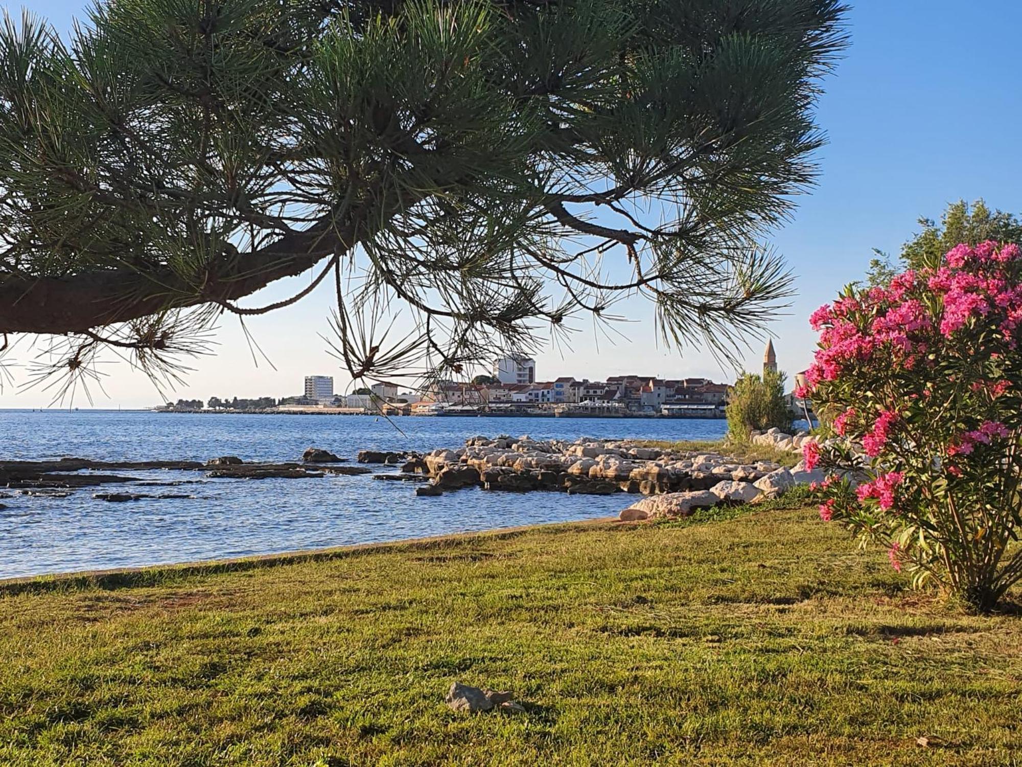 Apartments Eva Umag Zewnętrze zdjęcie