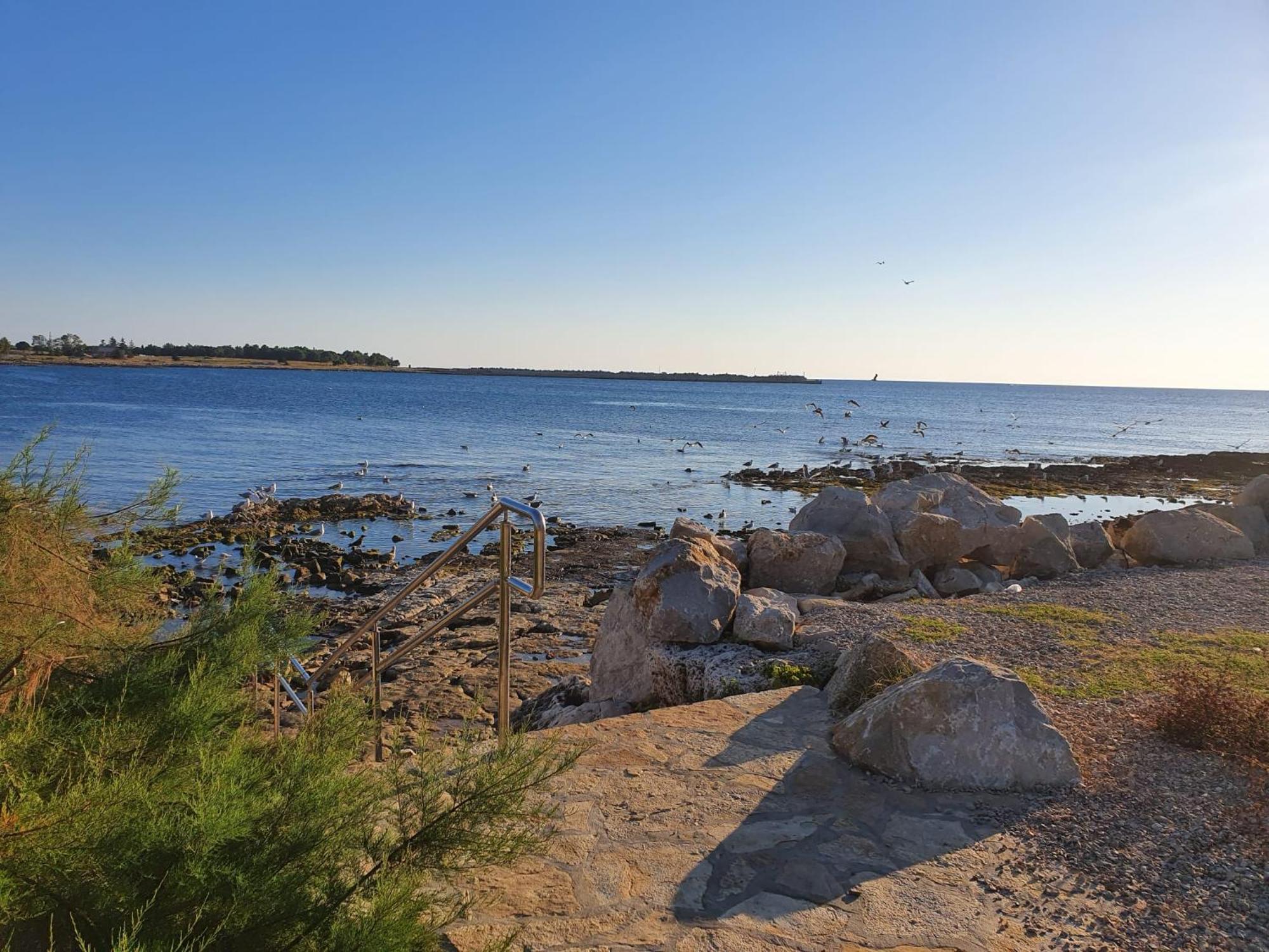 Apartments Eva Umag Zewnętrze zdjęcie